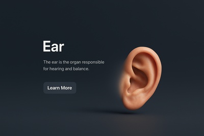 Detailed 3D Scene of an Ear in a Dark Background