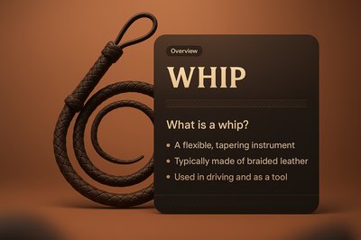 3D Illustration of a Whip with Informative Overlay Design
