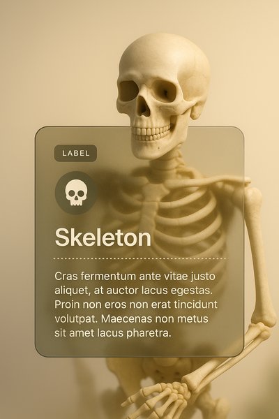 3D Skeleton Web Design with Transparent Elements