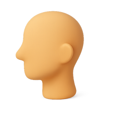 3D Rendered Profile View of a Simplified Human Head