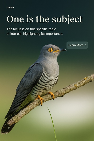 Stylish Web Design with Focused Subject