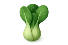 3D Bok Choy Icon