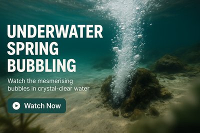 Underwater Spring Bubbling Visual with Call to Action