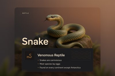 3D Snake Illustration with Informative Design Elements