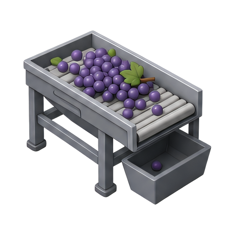 Grape sorting table in winery