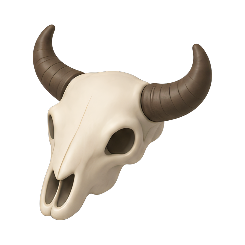 artistic animal skull display