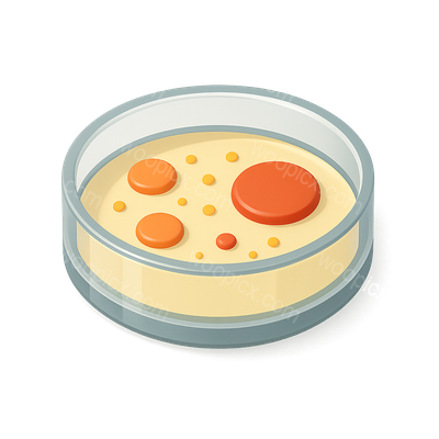 3D Isometric Petri Dish Icon Design for Scientific Use