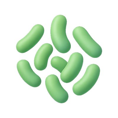 Collection of Green Bacteria Icons on a Transparent Background