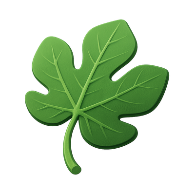 Stylized 3D Fig Leaf Icon with Isometric View