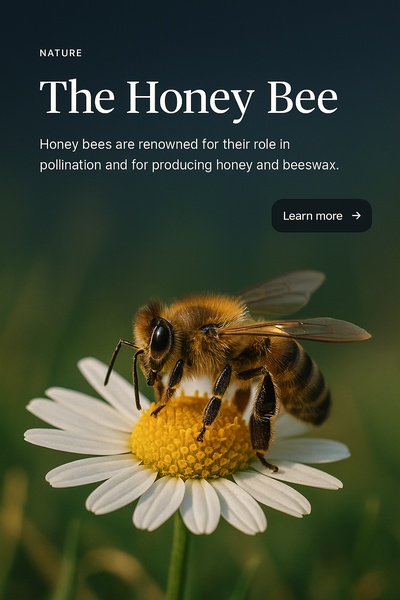 Stylish Web Page Design Featuring a Honey Bee