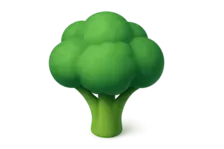 3D Green Broccoli Tree Icon