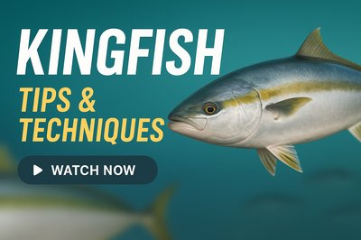 Engaging Fishing Tutorial Graphic Featuring Kingfish