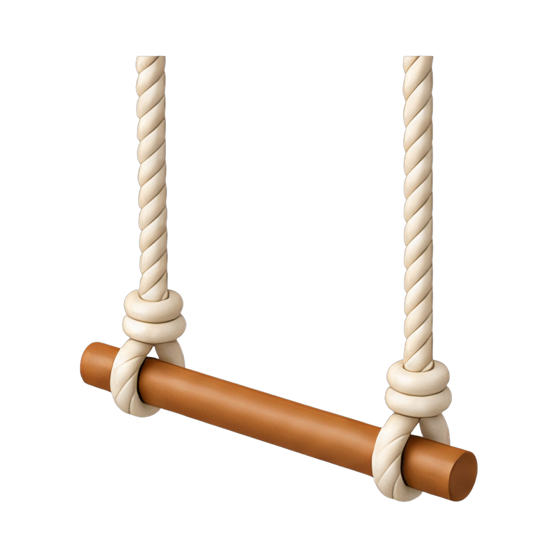 trapeze bar with ropes