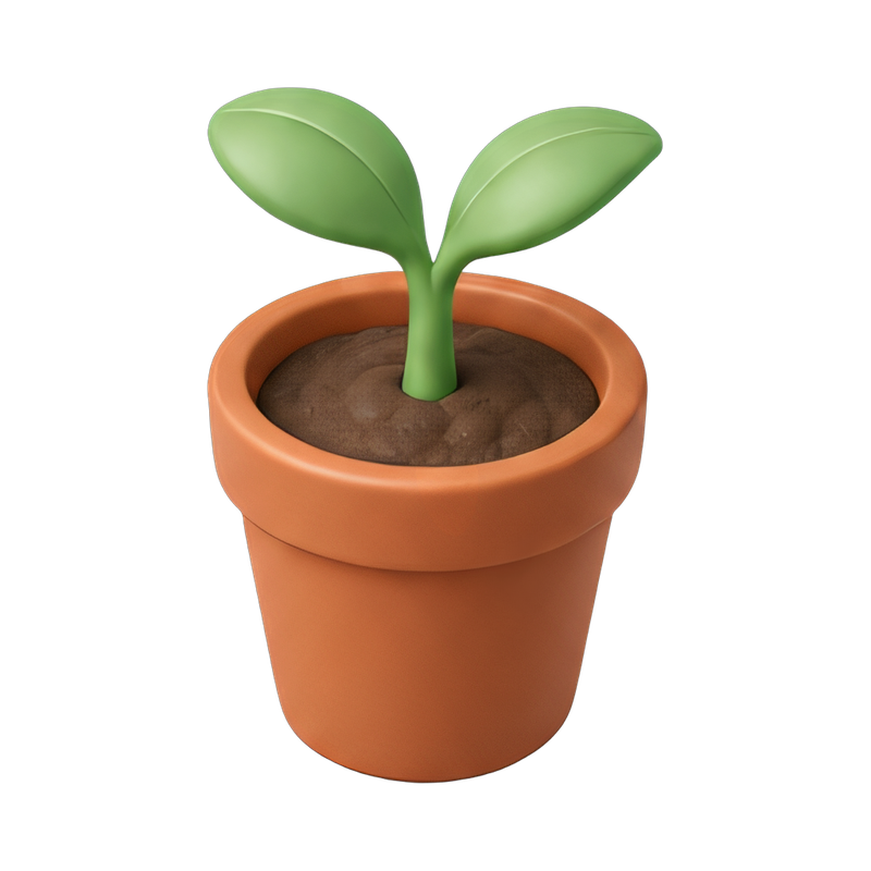 young potted seedling