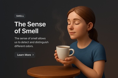 Engaging 3D Scene Highlighting the Sense of Smell
