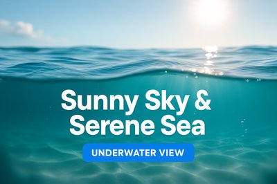 Underwater Serenity: Sunny Sky Meets Serene Sea