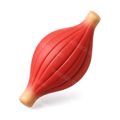Stylized 3D Muscle Icon with Isometric View