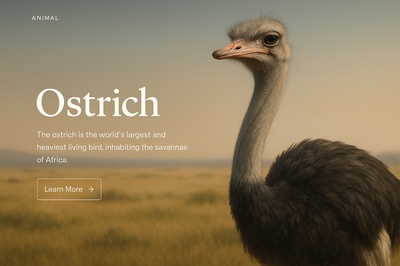 Stylish Ostrich Web Page Design with Realistic Illustration