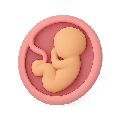 Stylized Embryo Illustration in Circular Frame