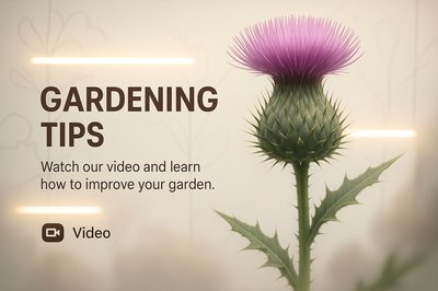 Gardening Tips Video Thumbnail with Floral Element