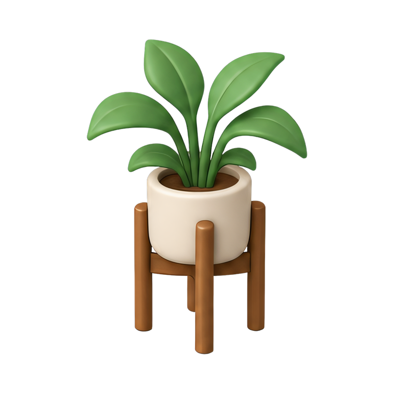 house plant on a wooden stand