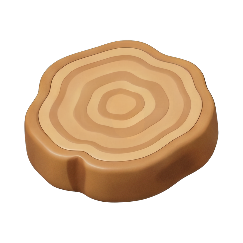 petrified wood slice close-up