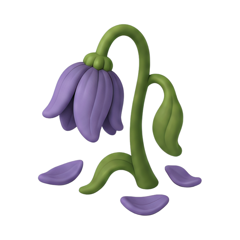 wilted flower with drooping petals