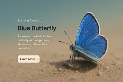 Stunning Close-Up Portrait of a Blue Butterfly