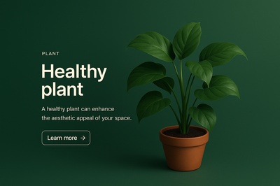Stylish Plant Design for Modern Spaces