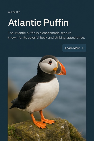 Stylish Web Design Featuring Atlantic Puffin Illustration
