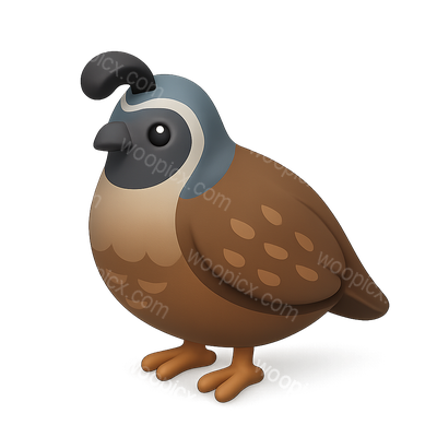 Stylized 3D Quail Icon with Isometric View