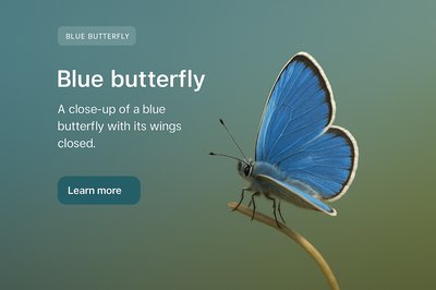 Stunning Close-Up of a Blue Butterfly on a Branch
