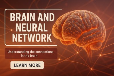 Conceptual Graphic of Brain and Neural Networks