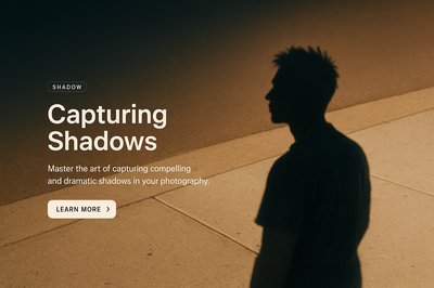 Stylish Web Design Featuring Shadows in Photography