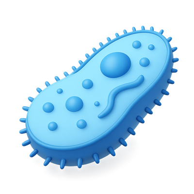 3D Paramecium Icon Design in Blue with Isometric View