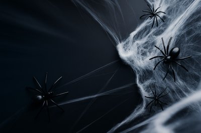 Dynamic Halloween Flat Lay with Spiders and Webs