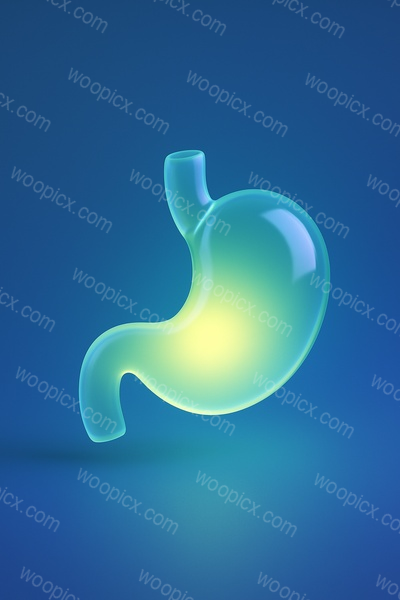 Realistic 3D Stomach Icon with Soft Glow Effects
