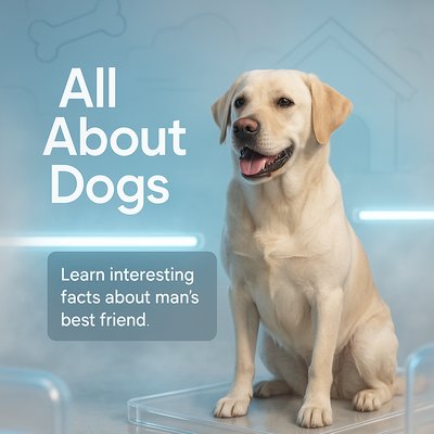 Educational Graphic About Dogs Featuring a Labrador Retriever