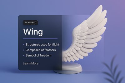 3D Illustration of a Wing with Transparent Effect