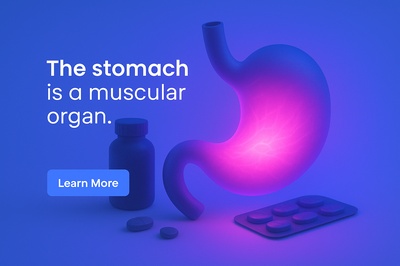 Glowing Stomach Composition with Neon Effects