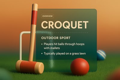 3D Illustration of Croquet with Informative Overlay