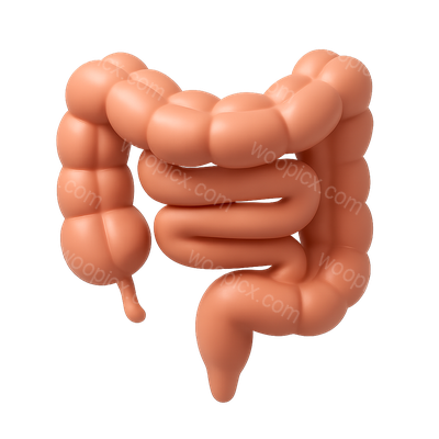 Realistic 3D Bowel Icon with Isometric View