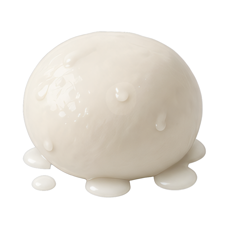 fresh mozzarella ball on a plate