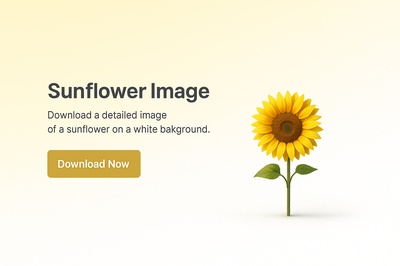 Detailed 3D Sunflower Scene on White Background