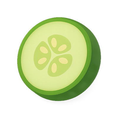 Stylized Cucumber Slice Illustration