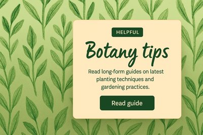 Botany Tips for Gardening Enthusiasts and Plant Lovers