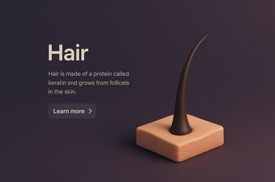 Realistic 3D Hair Model with Informative Text Block
