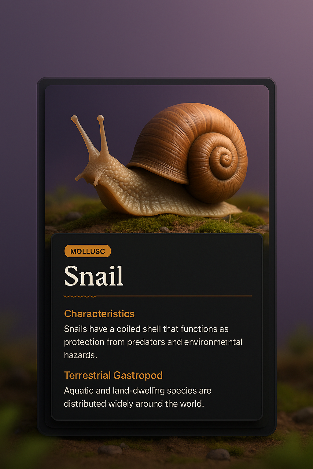 3D Snail Design with Informative Overlay