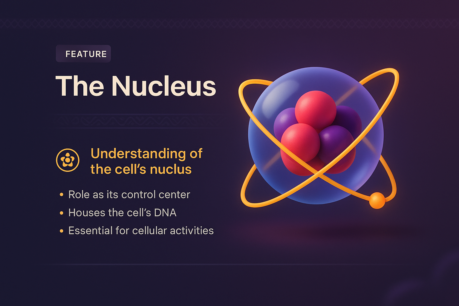 3D Illustration of the Nucleus with Feature Highlights